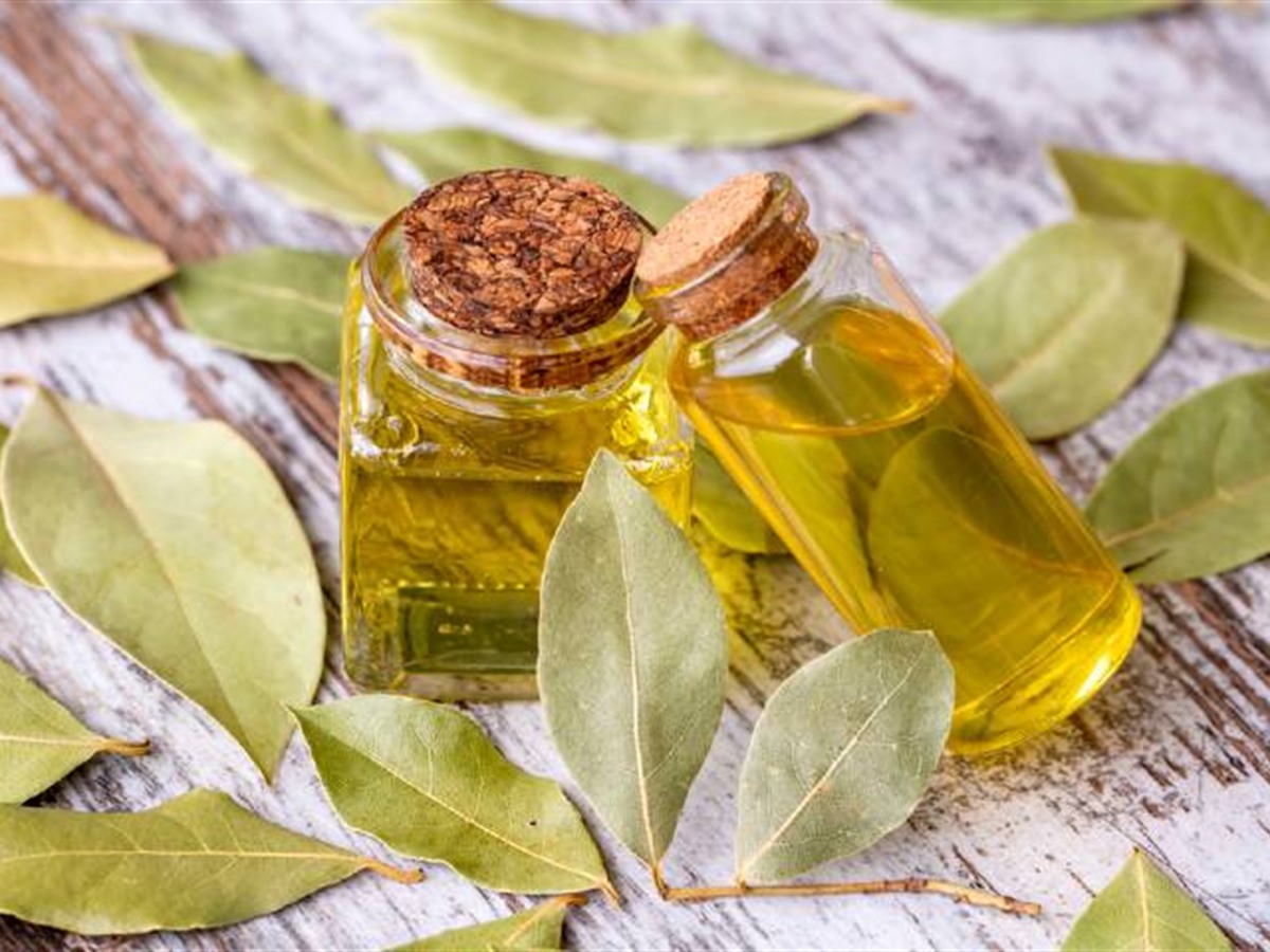 Defne Yaprak Yağı
